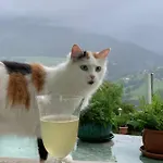 Lejlighed Perau In Gmünd
