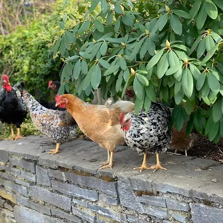 Perau In 公寓 Gmünd