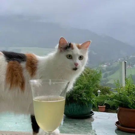 Apartment Perau In Gmünd