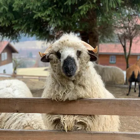 Perau In Apartment *