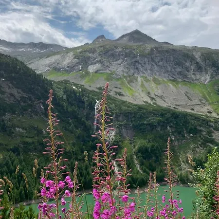 Appartement Perau In Gmünd