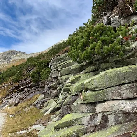 Appartement Perau In Gmünd