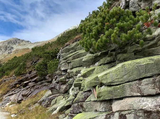 公寓 Perau In Gmünd